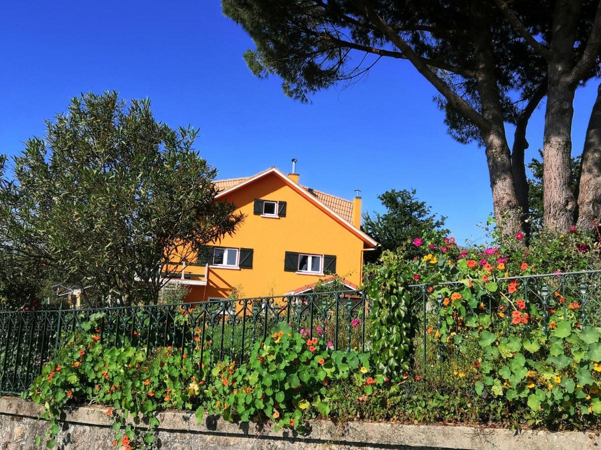 Casa Gwendoline - Albergue / Hostel / Al - Caminho Da Costa 维拉·诺瓦·达·塞尔维尔 外观 照片
