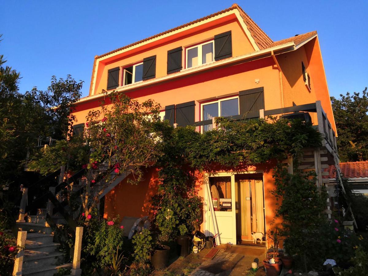 Casa Gwendoline - Albergue / Hostel / Al - Caminho Da Costa 维拉·诺瓦·达·塞尔维尔 外观 照片