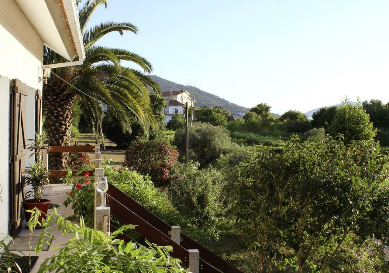 Casa Gwendoline - Albergue / Hostel / Al - Caminho Da Costa 维拉·诺瓦·达·塞尔维尔 外观 照片